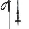 ALPS Mountaineering Trekking Poles Journey Trekking Pole